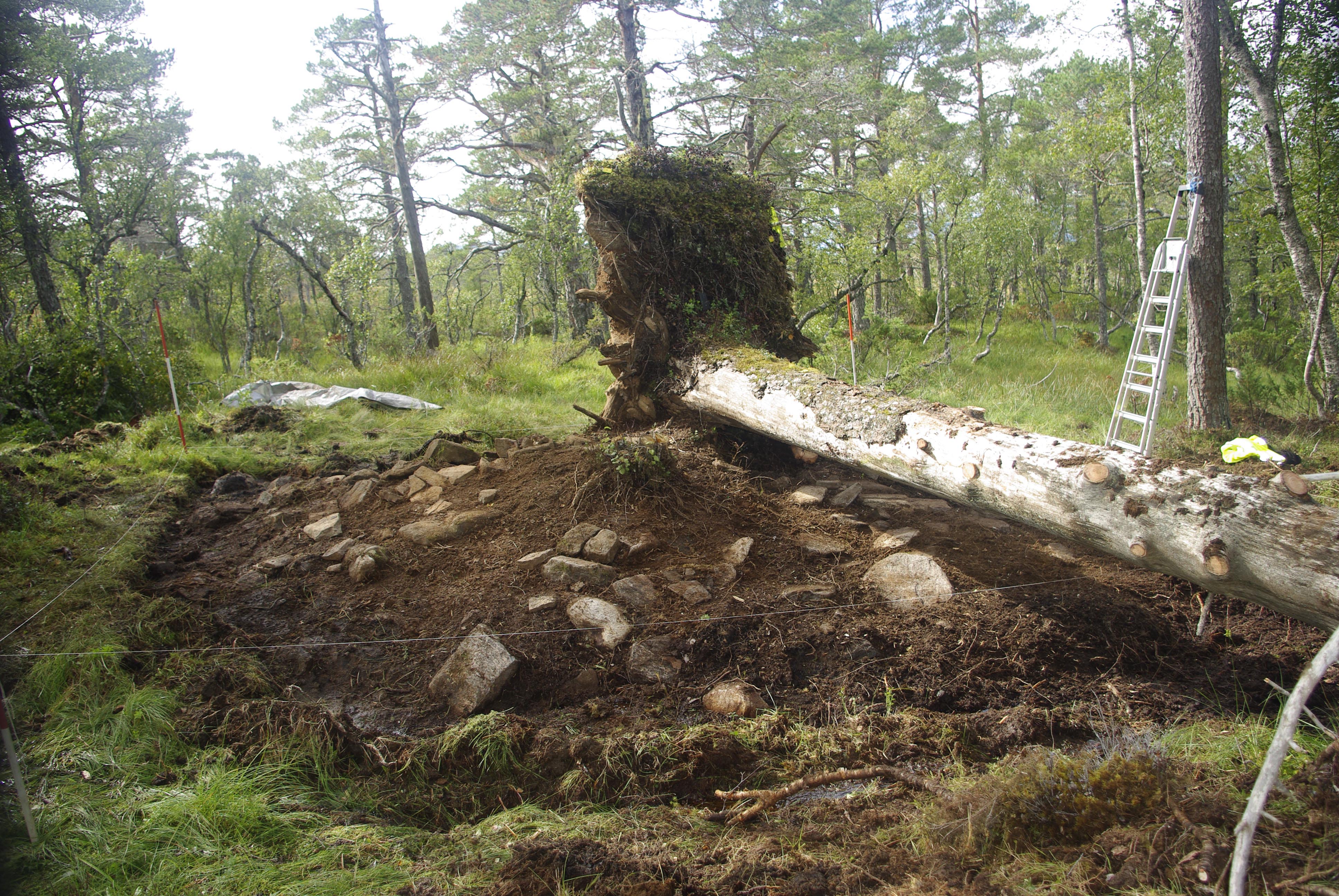 Torva er fjernet over en del av slagghaugen og området rundt. Rundt haugen er undergrunnen dekket av kull. Bildet er tatt mot nordvest. Foto: Dag-Øyvind Engtrø 2014, NTNU Vitenskapsmuseet.
